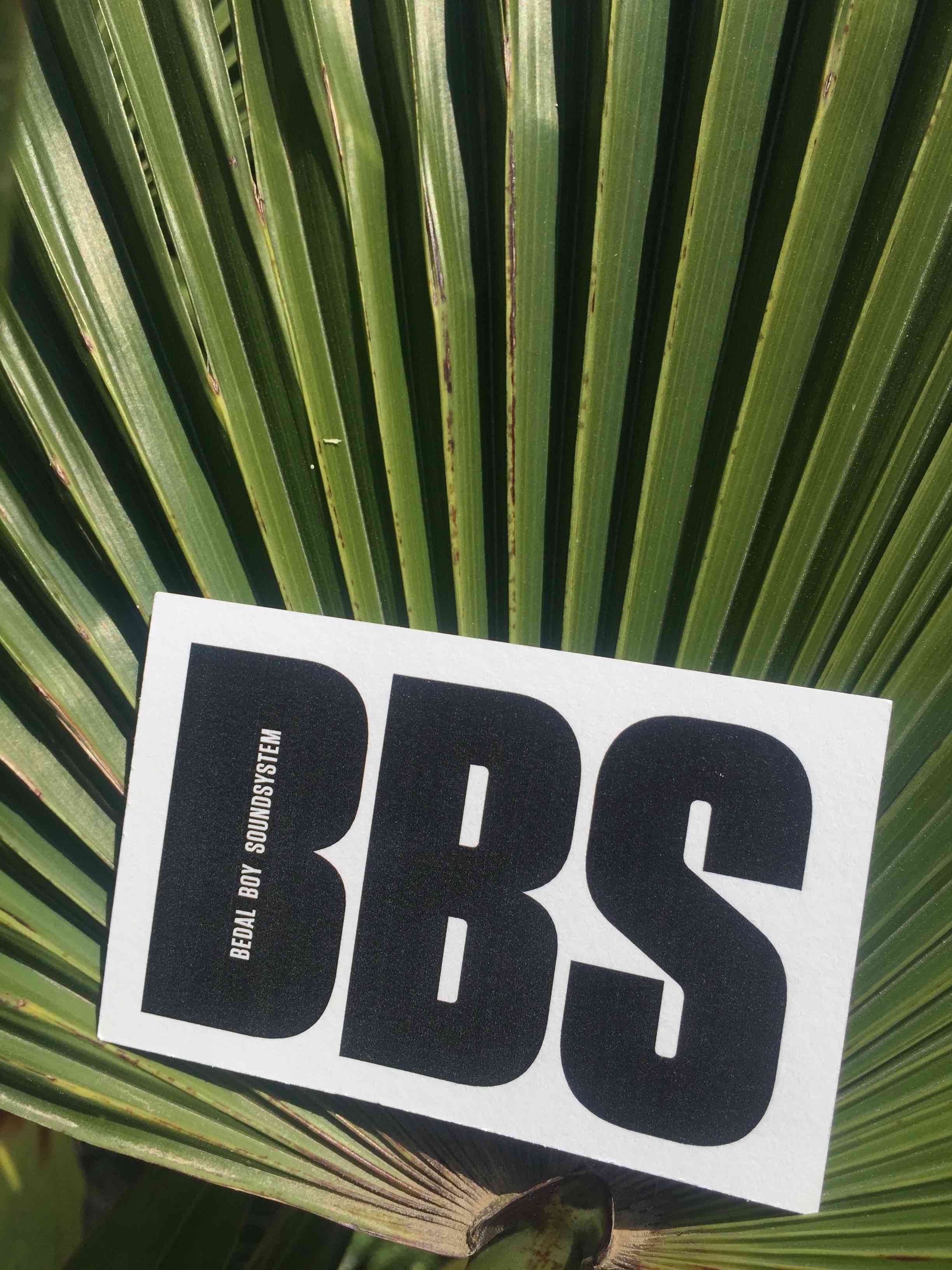 BBS logo on palm leaf